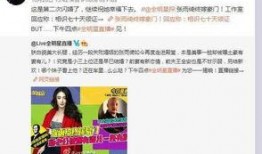 王导说事爆料视频,独家爆料视频深度解析